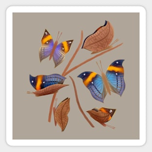 Orange oakleaf butterflies Magnet